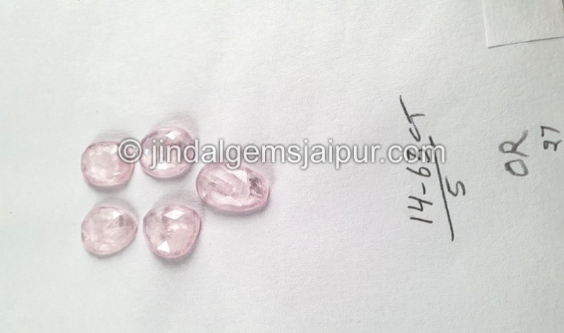Morganite Rose Cut Slices -- DEMRGT40
