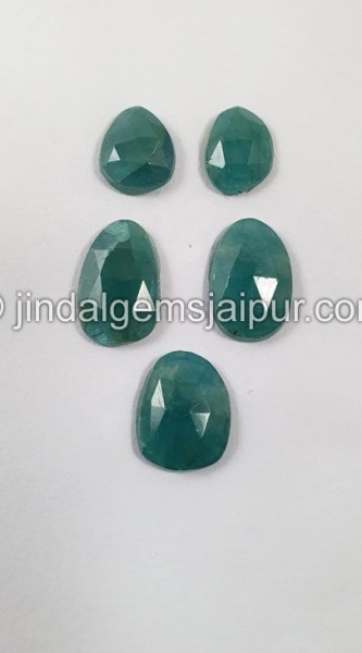 Grandidierite Rose Cut Slices