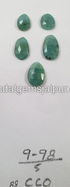 Grandidierite Rose Cut Slices - DEGRDRT228