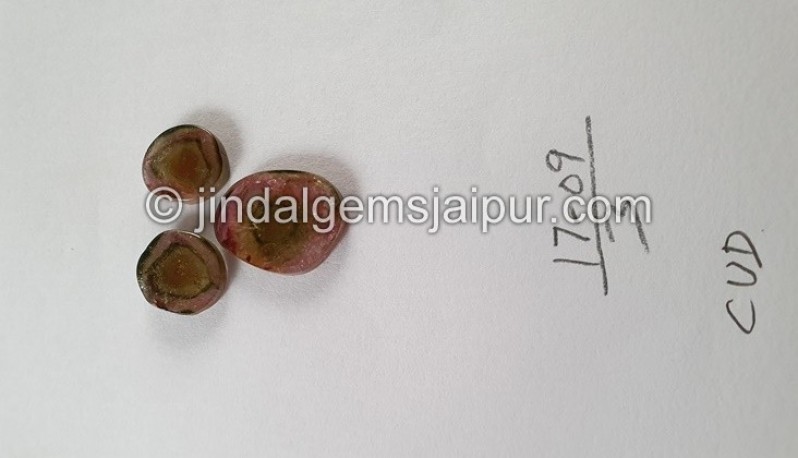 Watermelon Tourmaline Smooth Slices -- DETUR97