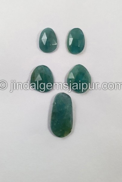 Grandidierite Rose Cut Slices -- DEGRDRT227