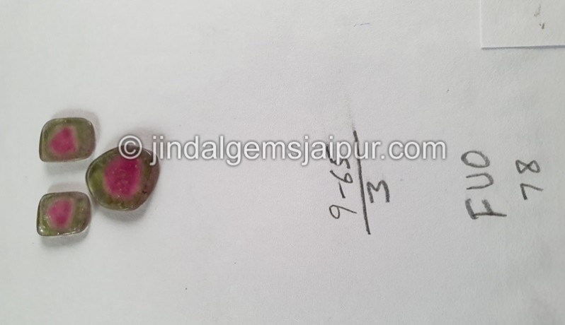 Watermelon Tourmaline Smooth Slices -- DETUR180