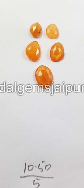 Mandarin Garnet  Rose Cut Slices
