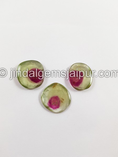 Watermelon Tourmaline Smooth Slices