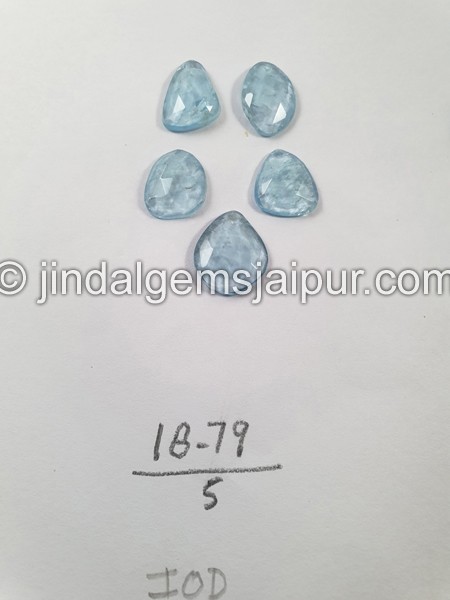 Aquamarine Rose Cut Slices