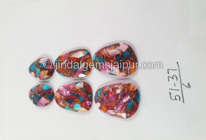 Spiny Oyester Turquoise Rose Cut slices