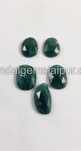 Grandidierite Rose Cut Slices