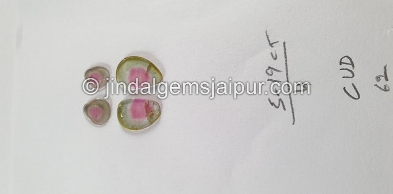 Watermelon Tourmaline Smooth Slices -- DETUR99