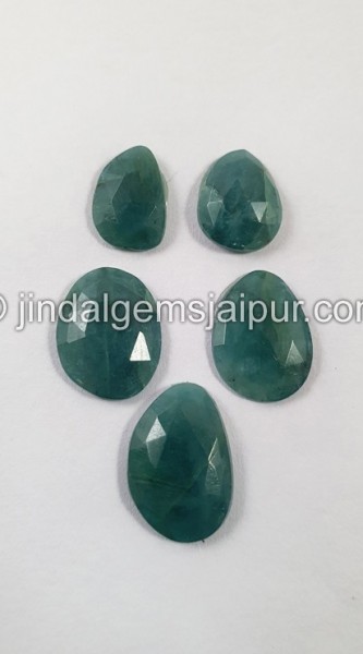 Grandidierite Rose Cut Slices