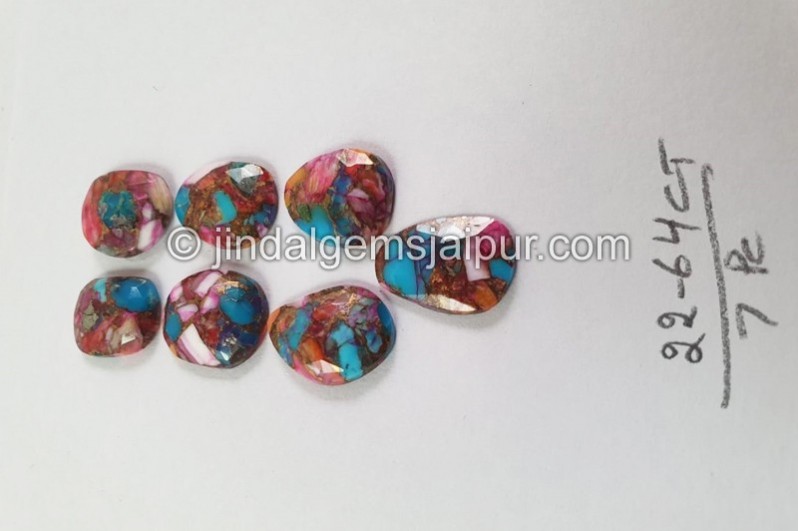 Spiny Oyester Turquoise Rose Cut slices