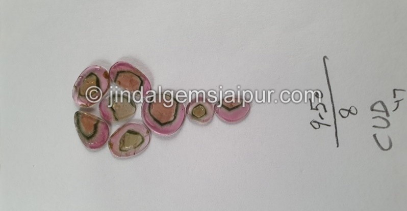 Watermelon Tourmaline Smooth Slices -- DETUR96