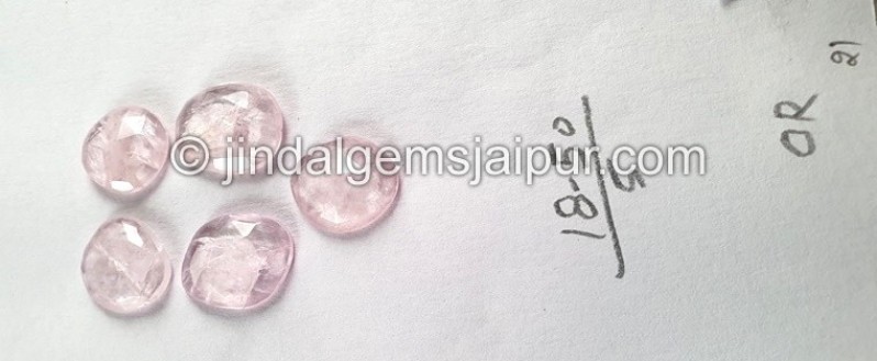 Morganite Rose Cut Slices -- DEMRGT48