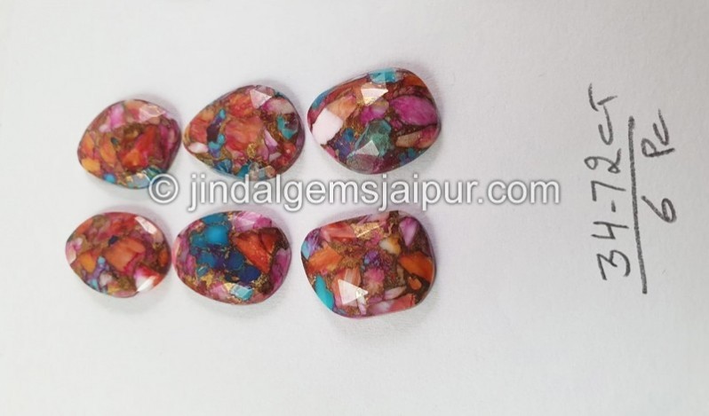 Spiny Oyester Turquoise Rose Cut slices