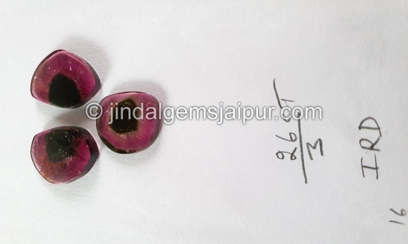 Watermelon Tourmaline Smooth Slices -- DETUR173