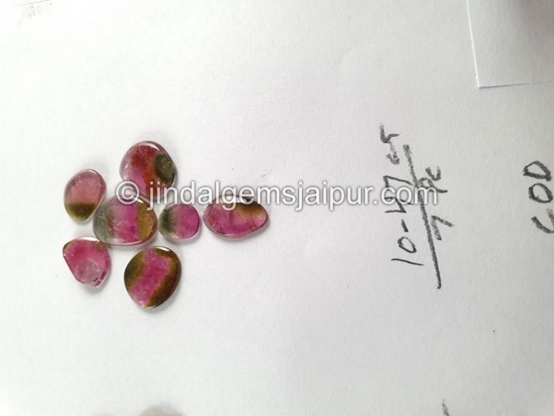 Watermelon Tourmaline Smooth Slices
