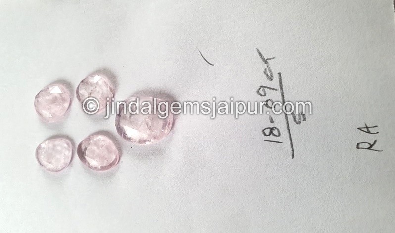 Morganite Rose Cut Slices -- DEMRGT64