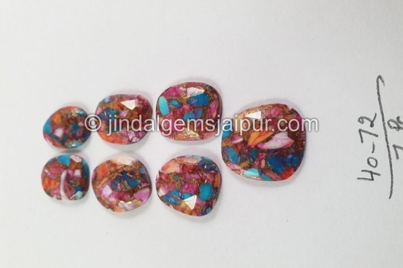 Spiny Oyester Turquoise Rose Cut slices