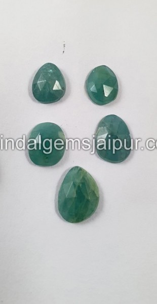 Grandidierite Rose Cut Slices -- DEGRDRT231