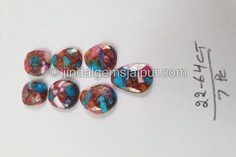 Spiny Oyester Turquoise Rose Cut slices
