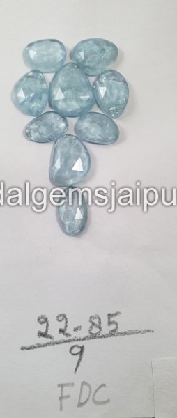 Aquamarine Rose Cut Slices