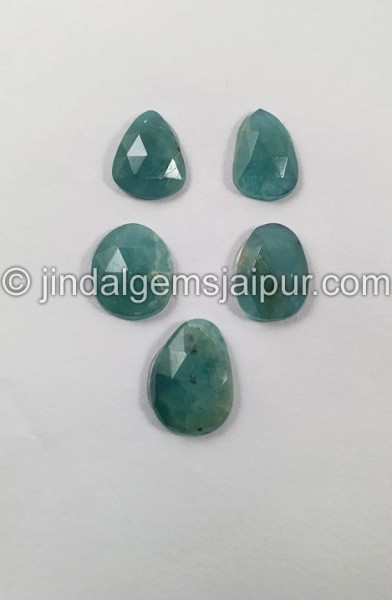 Grandidierite Rose Cut Slices -- DEGRDRT214