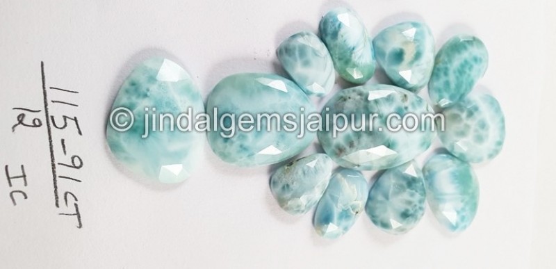 Larimar Rose Cut Slices