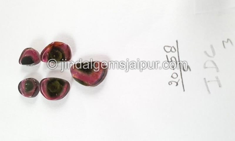 Watermelon Tourmaline Smooth Slices -- DETUR190