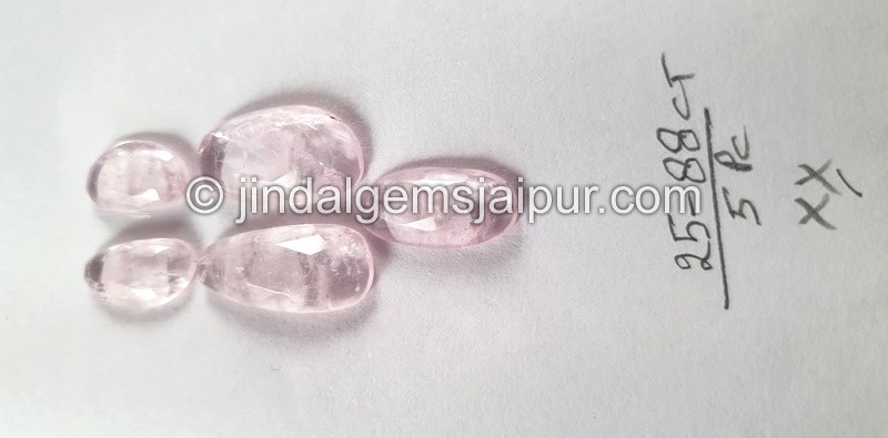 Morganite Rose Cut Slices -- DEMRGT60