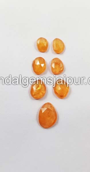 Mandarin Garnet  Rose Cut Slices