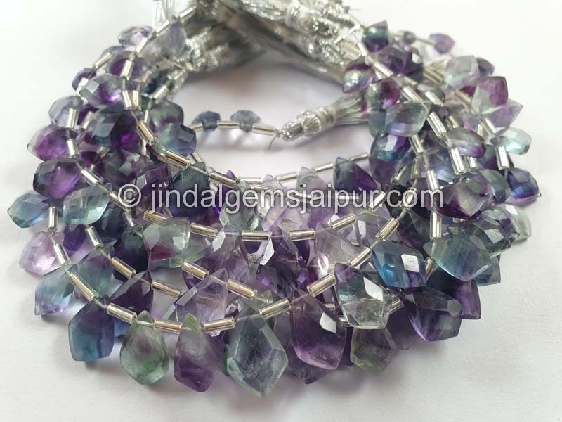 Fluorite Faceted Dolphin Pear Beads