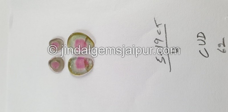 Watermelon Tourmaline Smooth Slices -- DETUR99