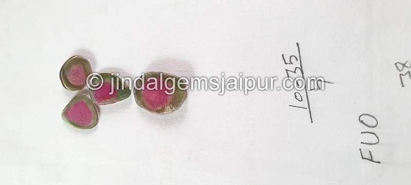 Watermelon Tourmaline Smooth Slices -- DETUR170