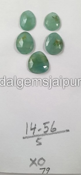 Grandidierite Rose Cut Slices