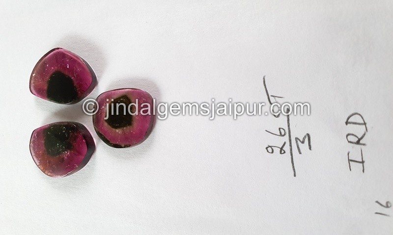 Watermelon Tourmaline Smooth Slices -- DETUR173