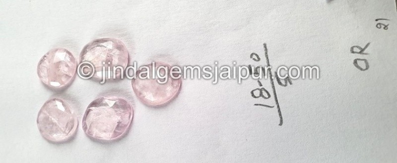 Morganite Rose Cut Slices -- DEMRGT48