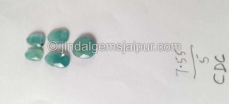 Grandidierite Rose Cut Slices -- DEGRDRT86
