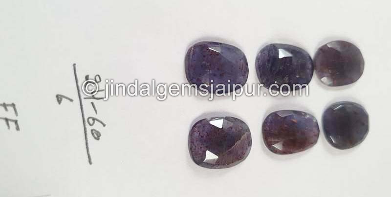 Iolite Sunstone Rose Cut Slices
