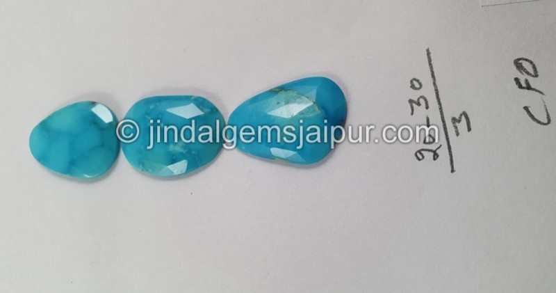Turquoise Rose Cut Slices -- DETRQ193